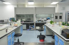 食品分子生物检验科实验室装饰要求